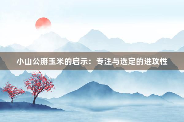 小山公掰玉米的启示:专注与选定的进攻性